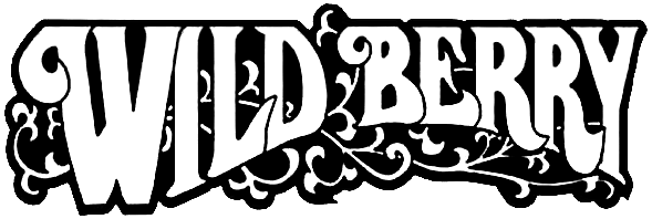 Logo Wildberry Incense - Manchester Adult Lifestyles Manchester NH Adult Novelties Smoke Shop Adult Toys Shoes Accessories